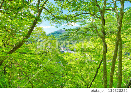 栃木県那須塩原市 自然豊かな塩原温泉の風景 栃木県那須塩原市 自然豊かな塩原温泉の風景 139828222