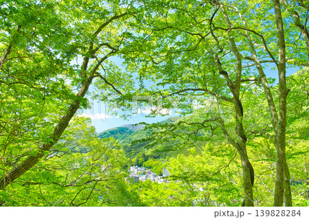 栃木県那須塩原市　自然豊かな塩原温泉の風景 139828284