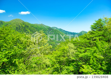 栃木県那須塩原市　自然豊かな塩原温泉の風景 139828408