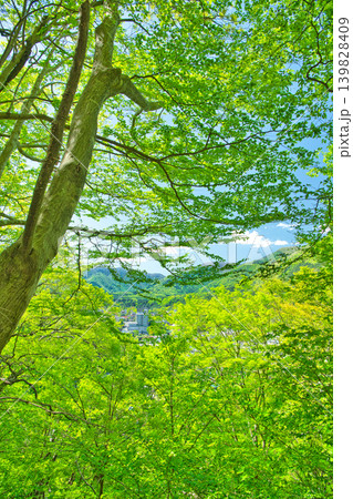栃木県那須塩原市　自然豊かな塩原温泉の風景 139828409