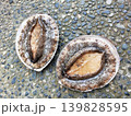 食材アワビ 139828595