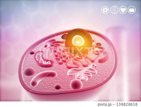 Anatomy of a cell 139828618