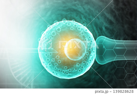 Laboratory microscopic view of in vitro fertilization Laboratory microscopic view of in vitro fertilization 139828628