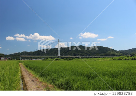 烏山大橋 139828788
