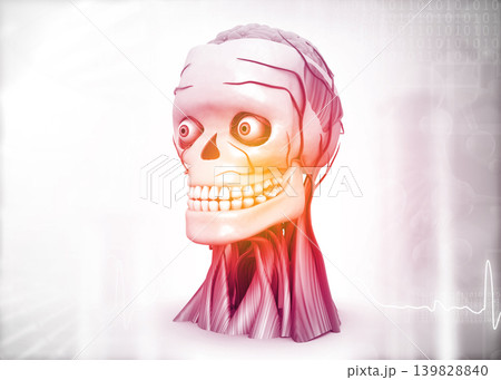 Human head anatomy on medical background Human head anatomy on medical background 139828840