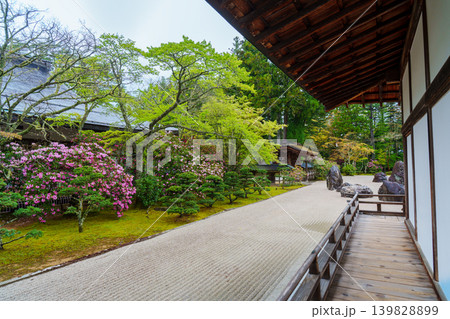 春の高野山　金剛峯寺の蟠龍庭 139828899