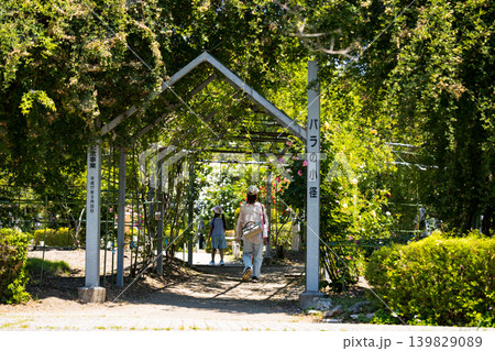 埼玉県川島町 平成の森公園バラの小径 埼玉県川島町 平成の森公園バラの小径 139829089