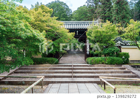 新緑に包まれた光明寺 新緑に包まれた光明寺 139829272