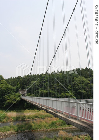 大金吊り橋 139829345