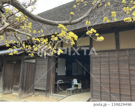 旧取手宿本陣染野家住宅と山茱萸 旧取手宿本陣染野家住宅と山茱萸 139829496
