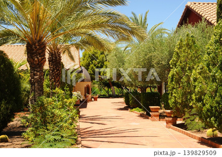 Greek Orthodox Monastery 139829509