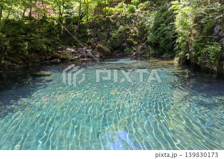 高知・神秘的で透明度の高い白龍湖 139830173