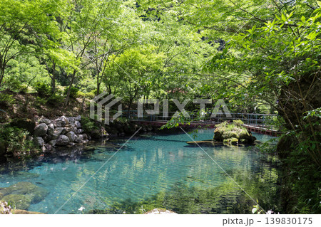 高知・神秘的で透明度の高い白龍湖 高知・神秘的で透明度の高い白龍湖 139830175
