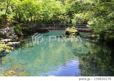 高知・神秘的で透明度の高い白龍湖 高知・神秘的で透明度の高い白龍湖 139830176