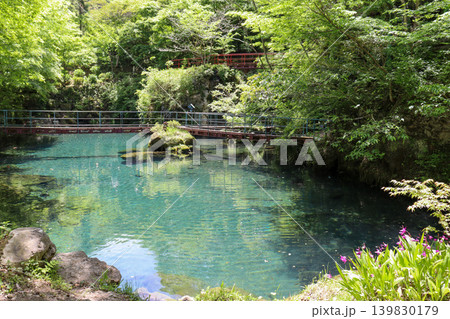 高知・神秘的で透明度の高い白龍湖 高知・神秘的で透明度の高い白龍湖 139830179