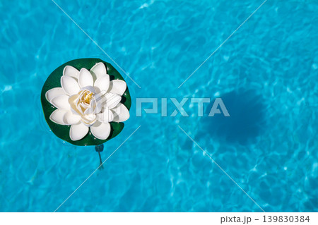 Plastic water lily floating on calm pool water surface Plastic water lily floating on calm pool water surface 139830384