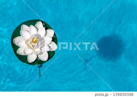 Decorative fake lotus flower floating on tranquil pool surface Decorative fake lotus flower floating on tranquil pool surface 139830386