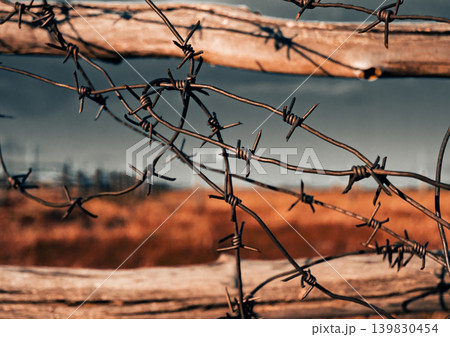 Barbed wire stretches across a wooden fence in a rural setting. Barbed wire stretches across a wooden fence in a rural setting. 139830454