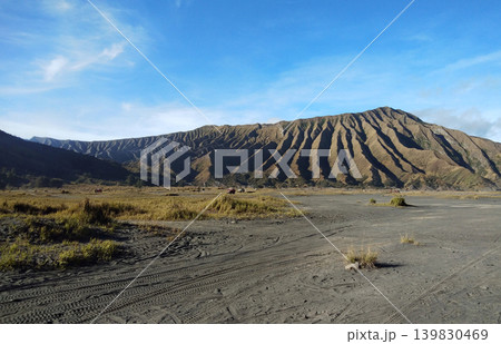 Sea of sand desert in mount Bromo Indonesia Sea of sand desert in mount Bromo Indonesia 139830469