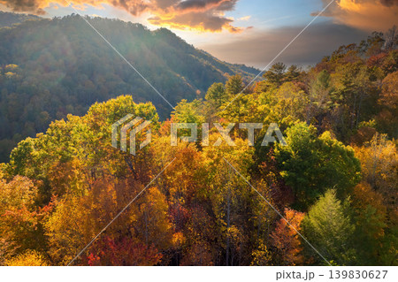 Autumn woods of Appalachian mountains at sunset with yellow and orange canopies in colorful forest. Landscape of wild nature in fall season Autumn woods of Appalachian mountains at sunset with yellow and orange canopies in colorful forest. Landscape of wild nature in fall season 139830627