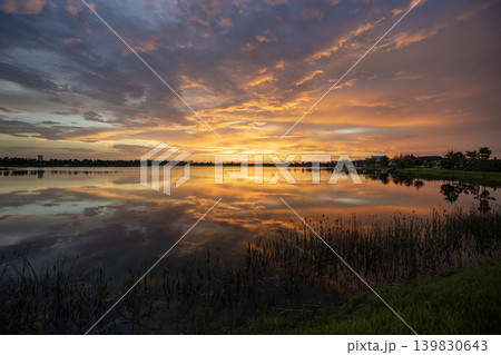 Florida evening nature. Wetland lake at sunset 139830643