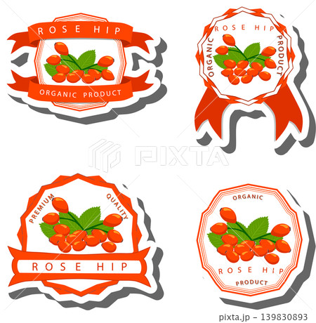 Berry theme from set juicy delicious rose hip of various sizes Berry theme from set juicy delicious rose hip of various sizes 139830893