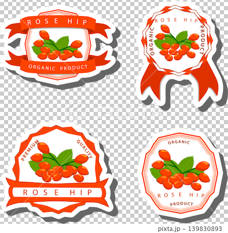 Berry theme from set juicy delicious rose hip of various sizes Berry theme from set juicy delicious rose hip of various sizes 139830893