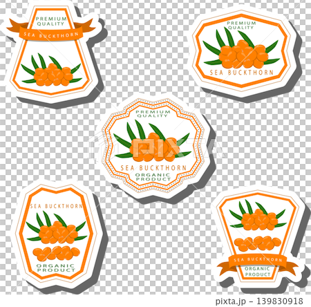 Berry theme from set juicy delicious sea buckthorn of various sizes Berry theme from set juicy delicious sea buckthorn of various sizes 139830918