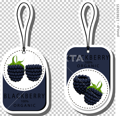 Berry theme from set juicy delicious blackberry of various sizes Berry theme from set juicy delicious blackberry of various sizes 139830935