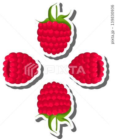 Berry theme from set juicy delicious raspberry of various sizes Berry theme from set juicy delicious raspberry of various sizes 139830936