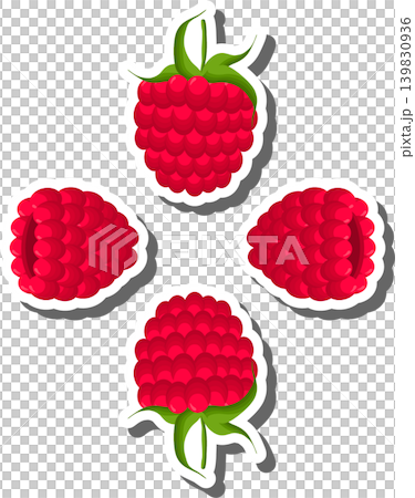 Berry theme from set juicy delicious raspberry of various sizes Berry theme from set juicy delicious raspberry of various sizes 139830936