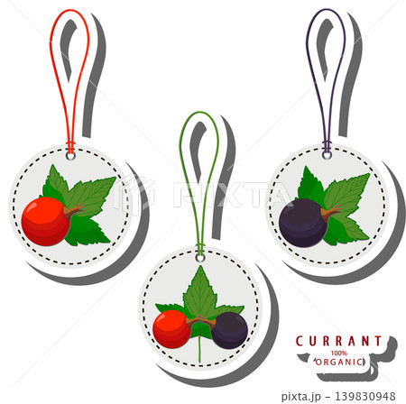 Berry theme from set juicy delicious currant of various sizes 139830948