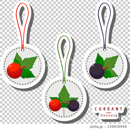 Berry theme from set juicy delicious currant of various sizes Berry theme from set juicy delicious currant of various sizes 139830948