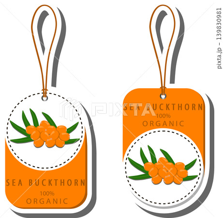 Berry theme from set juicy delicious sea buckthorn of various sizes Berry theme from set juicy delicious sea buckthorn of various sizes 139830981
