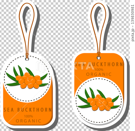 Berry theme from set juicy delicious sea buckthorn of various sizes Berry theme from set juicy delicious sea buckthorn of various sizes 139830981