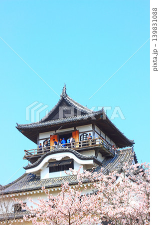 愛知県犬山市、犬山城と桜の風景 139831088