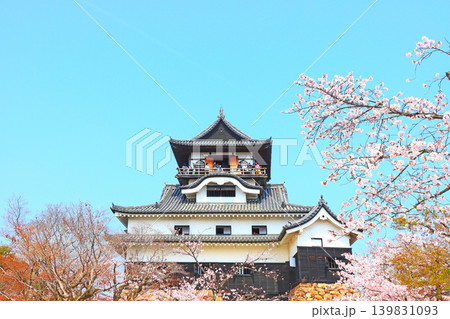 愛知県犬山市、犬山城と桜の風景 愛知県犬山市、犬山城と桜の風景 139831093