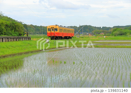 千葉県 小湊鉄道 上総川間駅 千葉県 小湊鉄道 上総川間駅 139831140