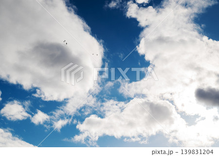Fluffy white clouds in a bright blue sky with a small flock of birds flying high. Fluffy white clouds in a bright blue sky with a small flock of birds flying high. 139831204