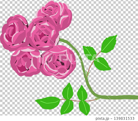 Illustration of a cup-shaped rose 139831533