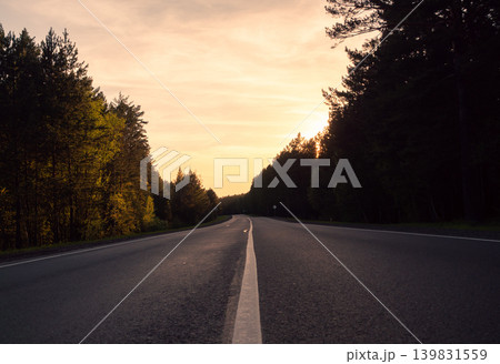An empty asphalt road curves through a dense pine forest bathed in the warm golden light of a setting sun An empty asphalt road curves through a dense pine forest bathed in the warm golden light of a setting sun 139831559