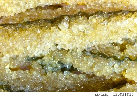 子持ち昆布 子持ち昆布 139831819