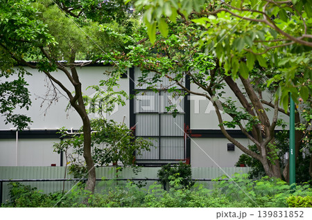 Buildings with trees in the city. Hong Kong Cityscape. Skyscrapers with trees. City and nature concept. Buildings with trees in the city. Hong Kong Cityscape. Skyscrapers with trees. City and nature concept. 139831852