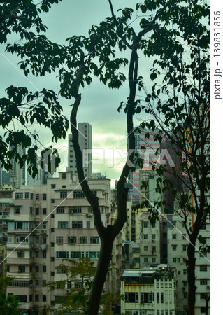 Buildings with trees in the city. Hong Kong Cityscape. Skyscrapers with trees. City and nature concept. Buildings with trees in the city. Hong Kong Cityscape. Skyscrapers with trees. City and nature concept. 139831856