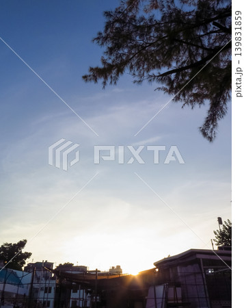 Buildings with trees in the city. Hong Kong Cityscape. Skyscrapers with trees. City and nature concept. Buildings with trees in the city. Hong Kong Cityscape. Skyscrapers with trees. City and nature concept. 139831859
