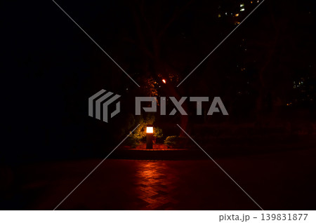 The night scene of Hong Kong public park. Travel concept. The night scene of Hong Kong public park. Travel concept. 139831877