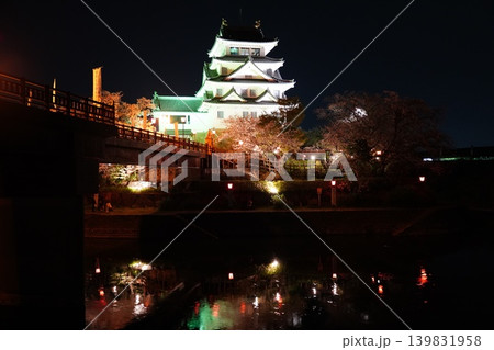 ライトアップされた墨俣一夜城と夜桜の風景 ライトアップされた墨俣一夜城と夜桜の風景 139831958