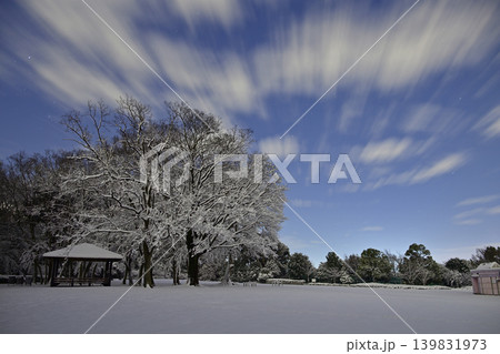 雪景色の朝の花島公園 139831973