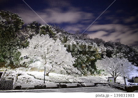 雪景色の朝の花島公園 雪景色の朝の花島公園 139831983