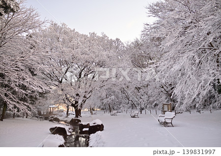 雪景色の朝の花島公園 雪景色の朝の花島公園 139831997